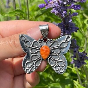 Spiny Oyster Butterfly